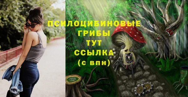 MESCALINE Белокуриха